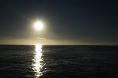 DSC_6571 (Large).JPG